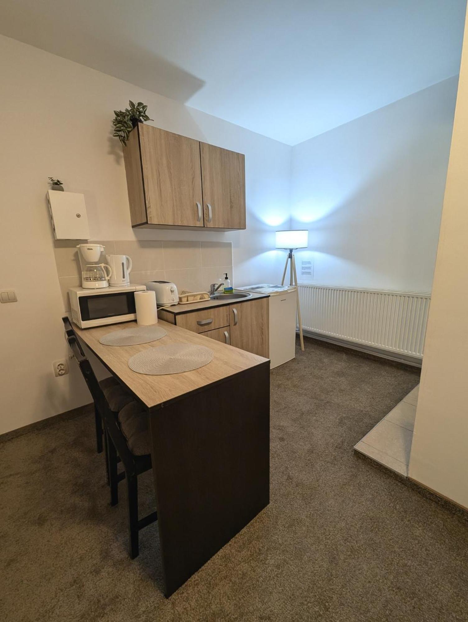 Sandor Central Studio Apartment Тыргу-Муреш Экстерьер фото